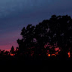 Meet your Posher, Iris